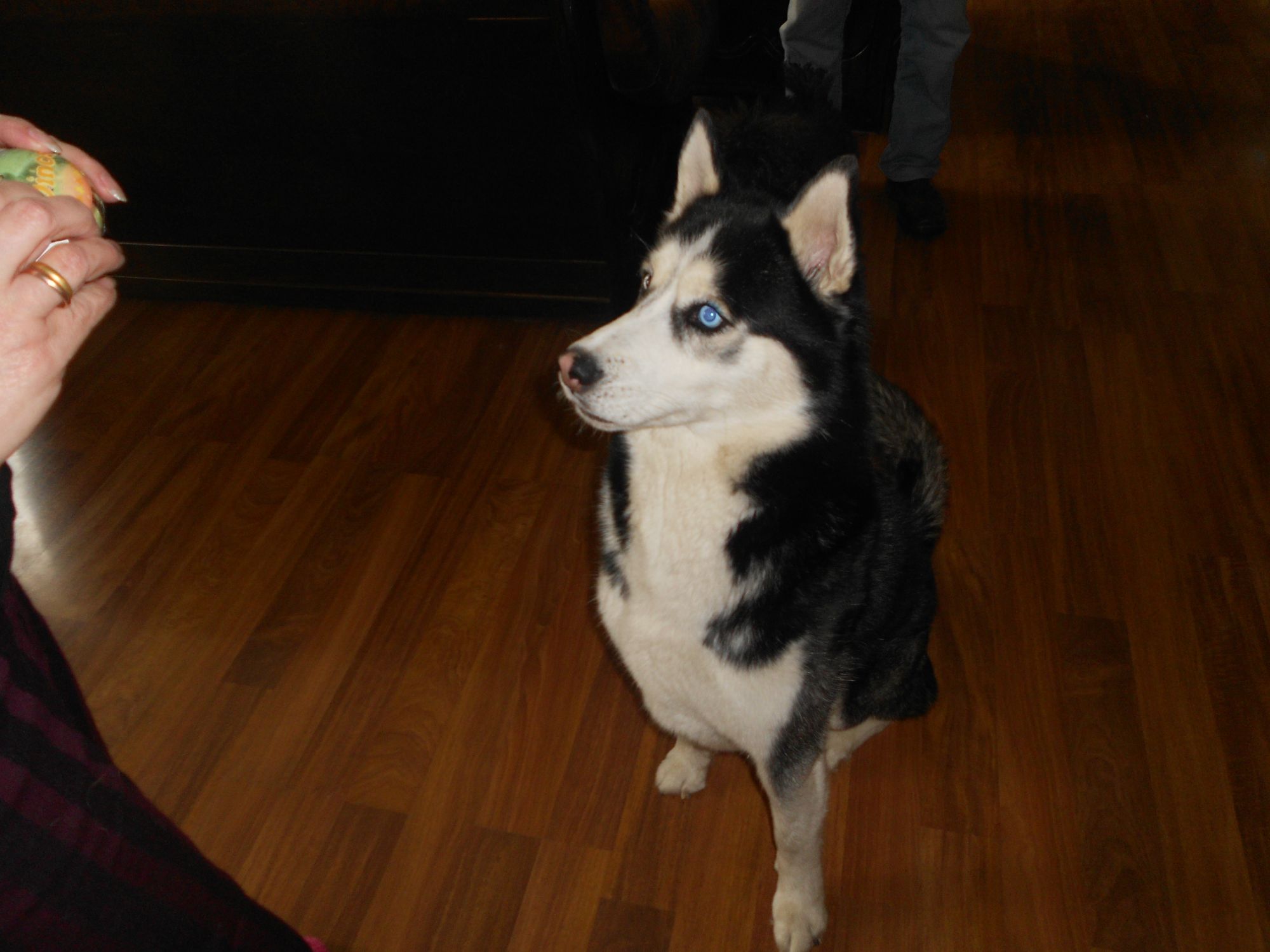 Picture_010.jpg