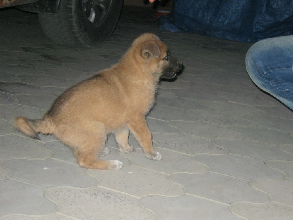 111.jpg
