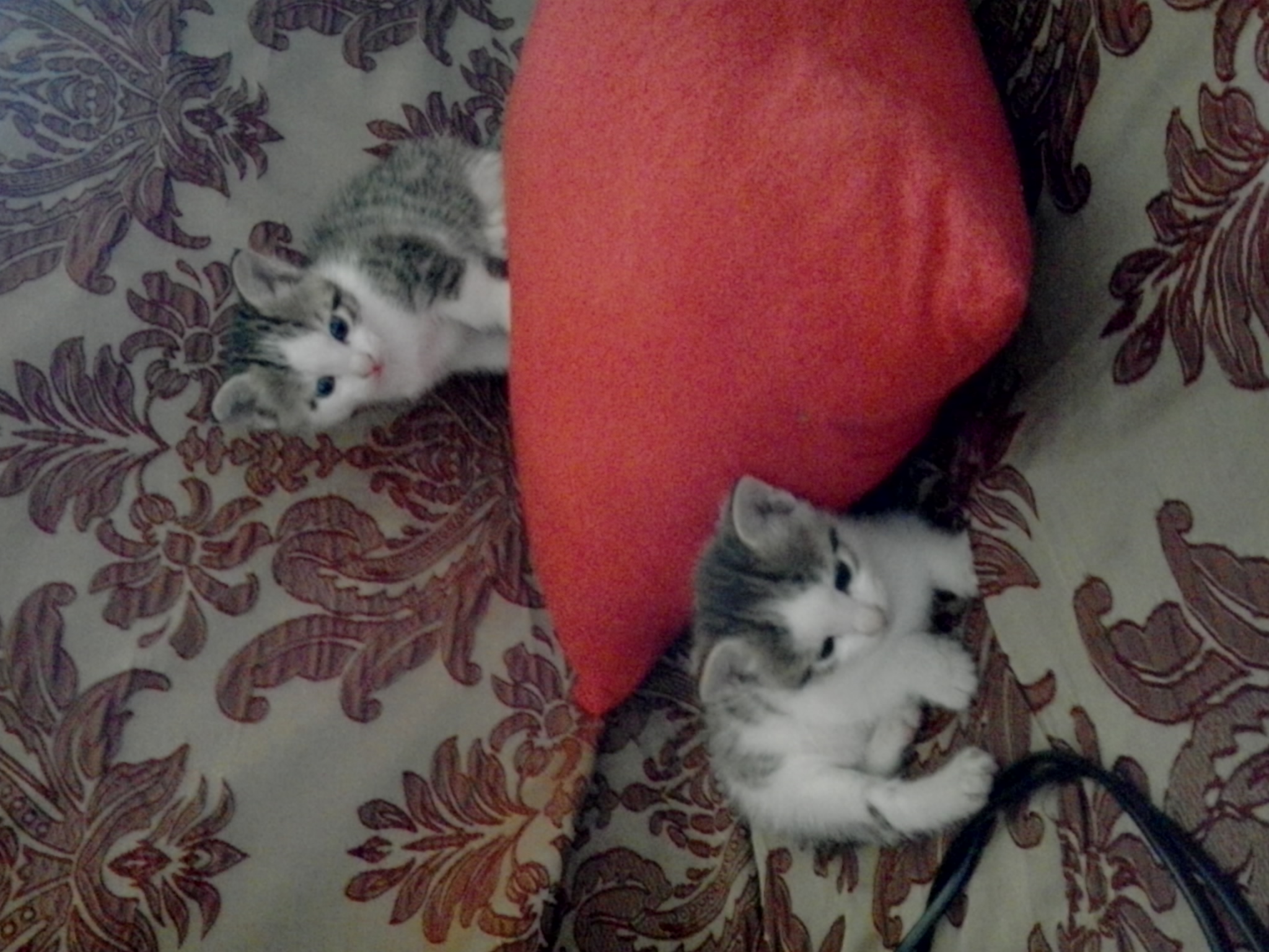 2013_05_01_12.31.45.jpg
