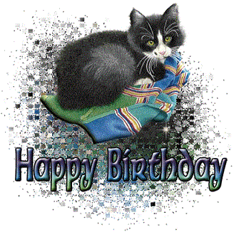 Happy_Birthday_cat_with_blanket.gif