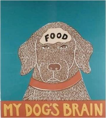 dog_food_brain.jpg