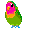 parrot.gif
