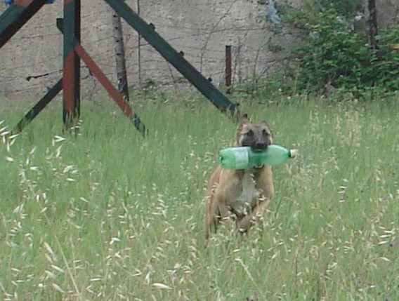 DSC00113_modified.jpg