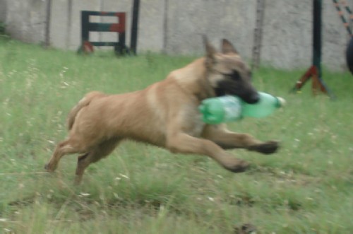 DSC001141_modified.jpg