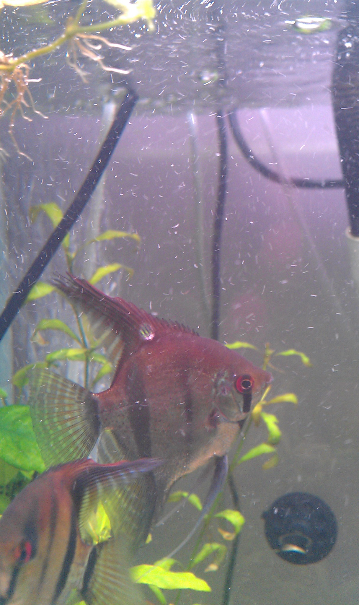 IMAG1024.jpg