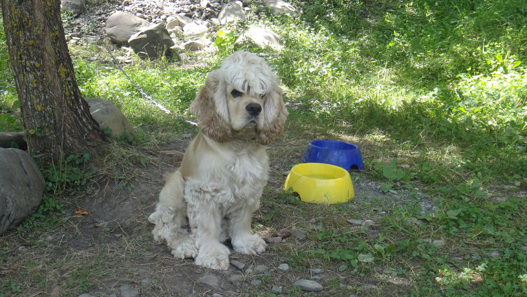 Rocky_123.jpg