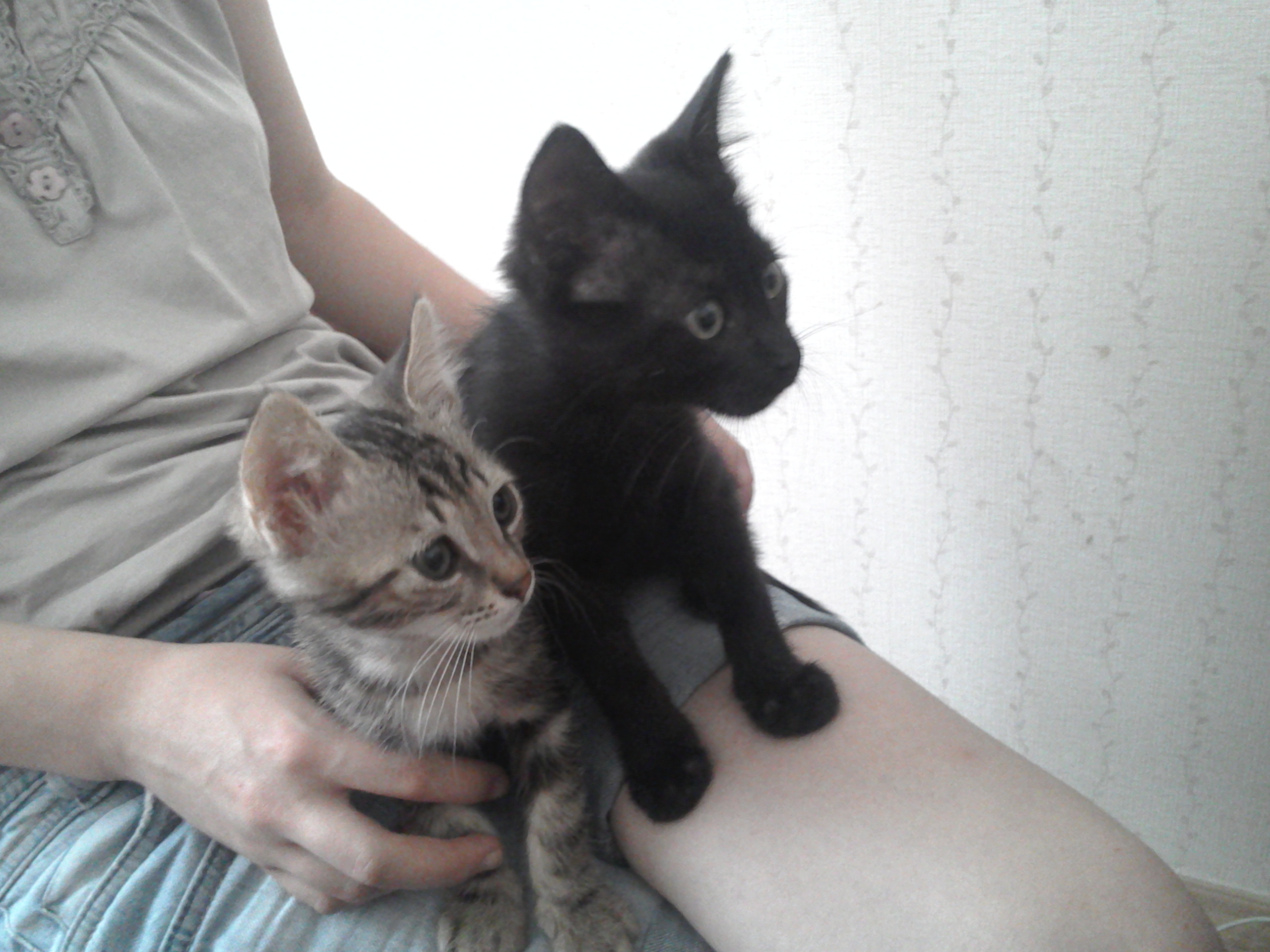 Photo1357.jpg