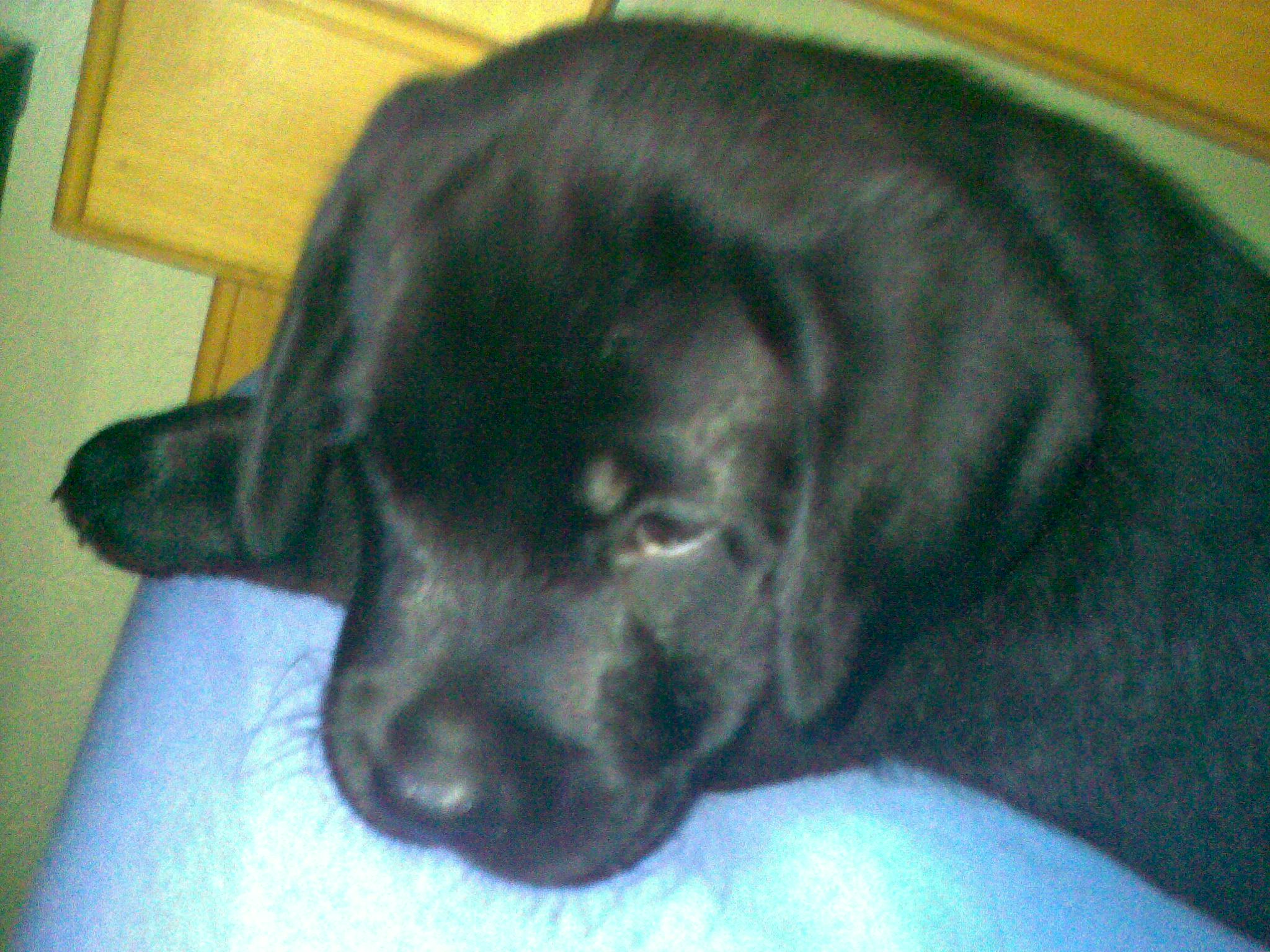 23072009257.jpg