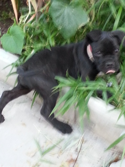 20130815_194159.jpg