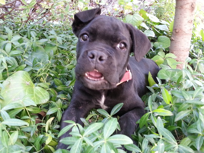 20130817_094043.jpg