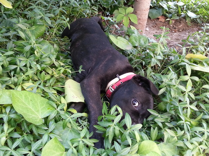 20130817_094020.jpg