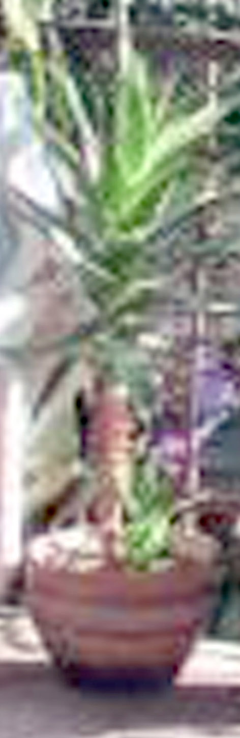 4791360_55654.jpg