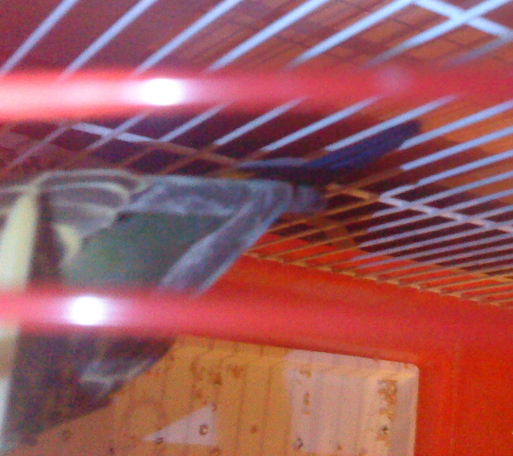 DSC02319.JPG