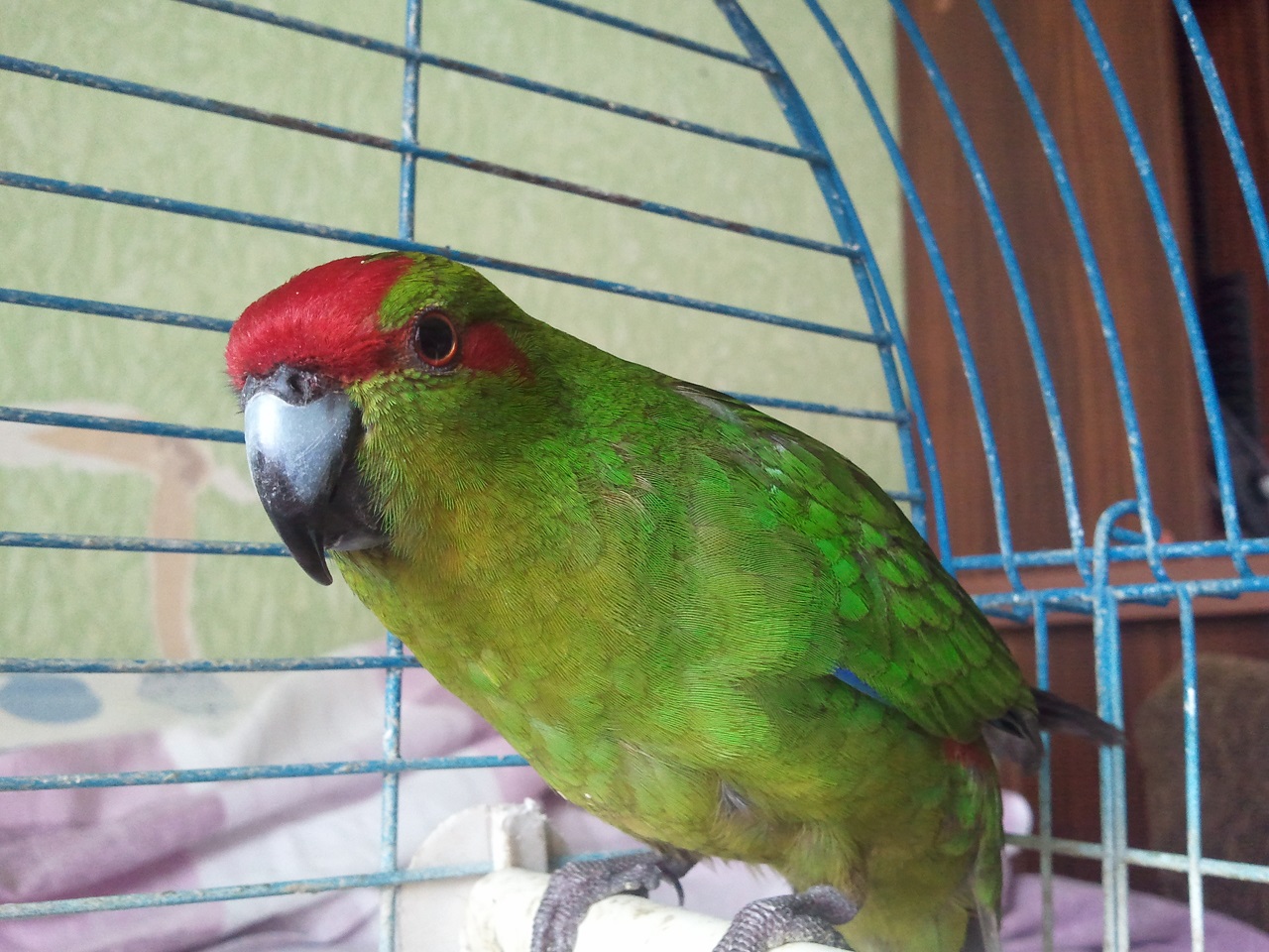 2011_08_21_14.45.16.jpg
