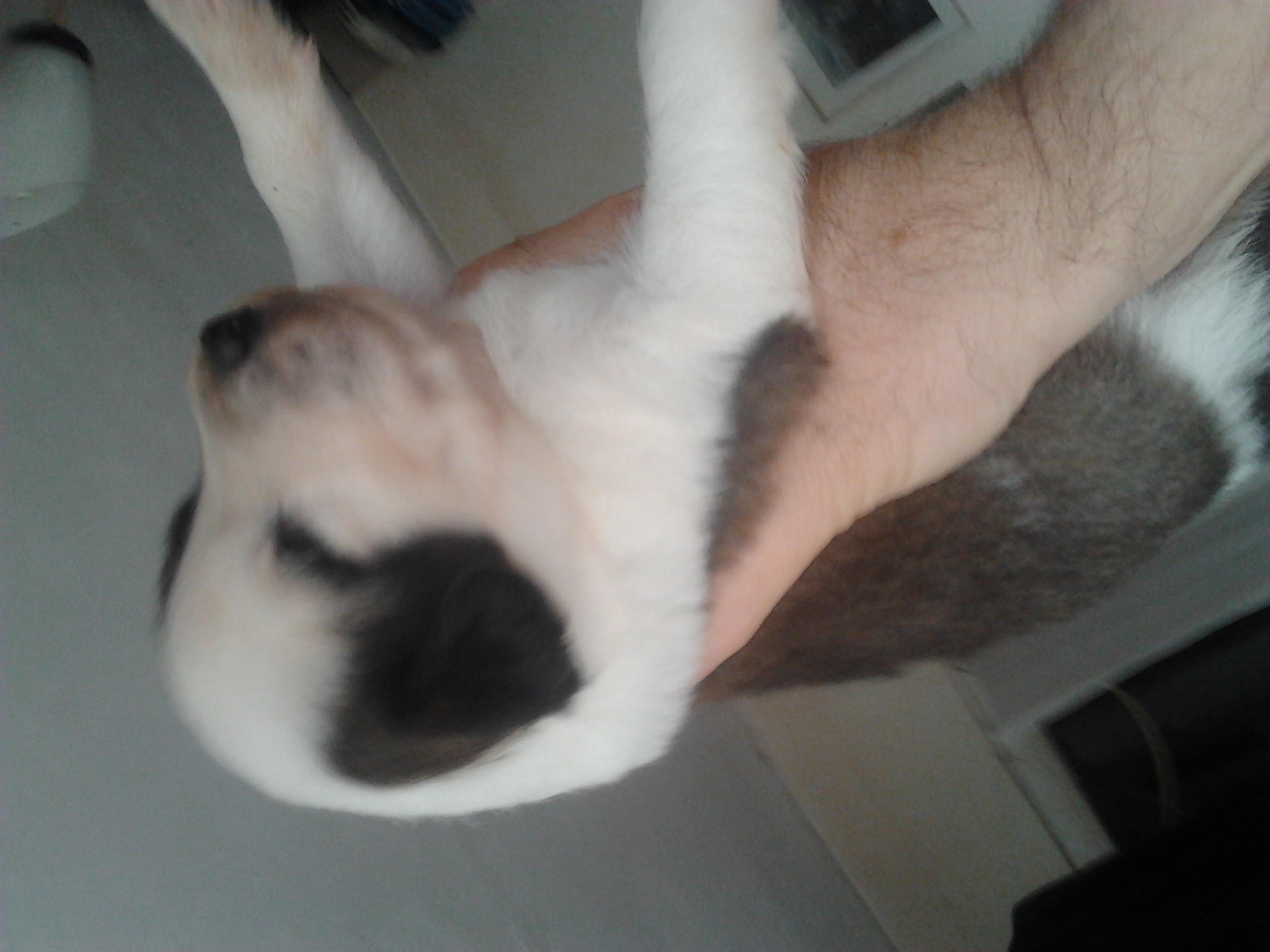 2013_09_18_09.27.25.jpg