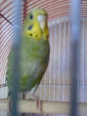fd0b2c858cfe.jpg