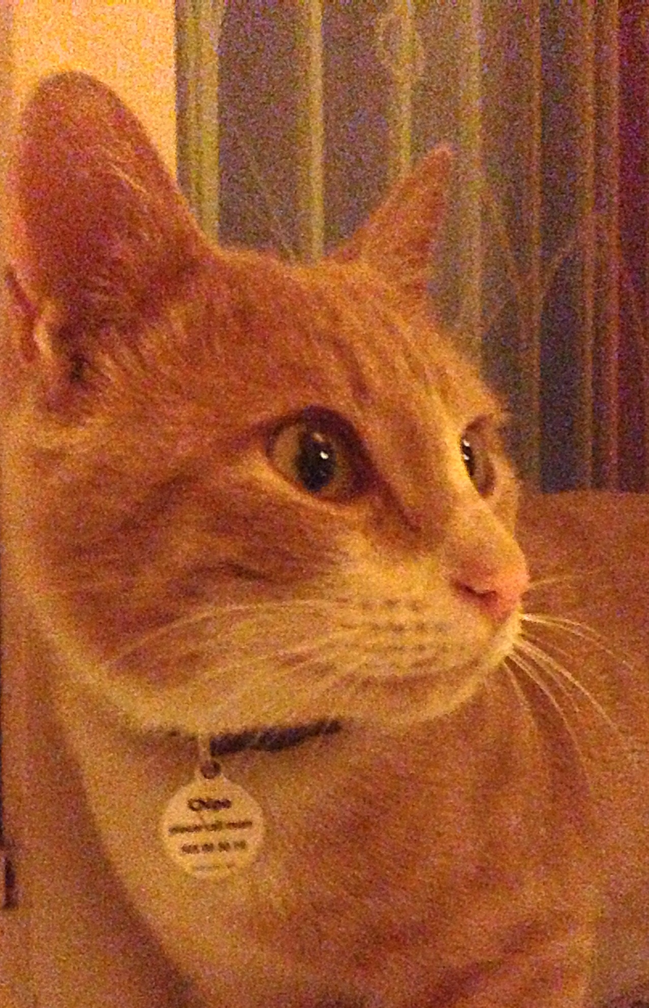image.jpg