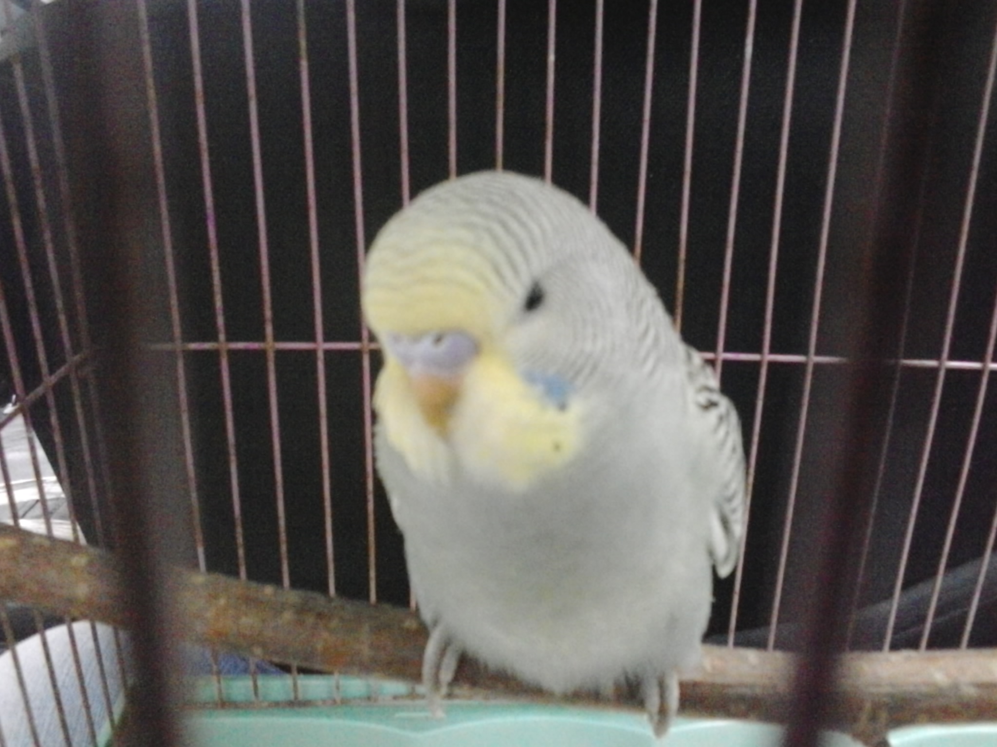 2013_09_22_14.42.19.jpg