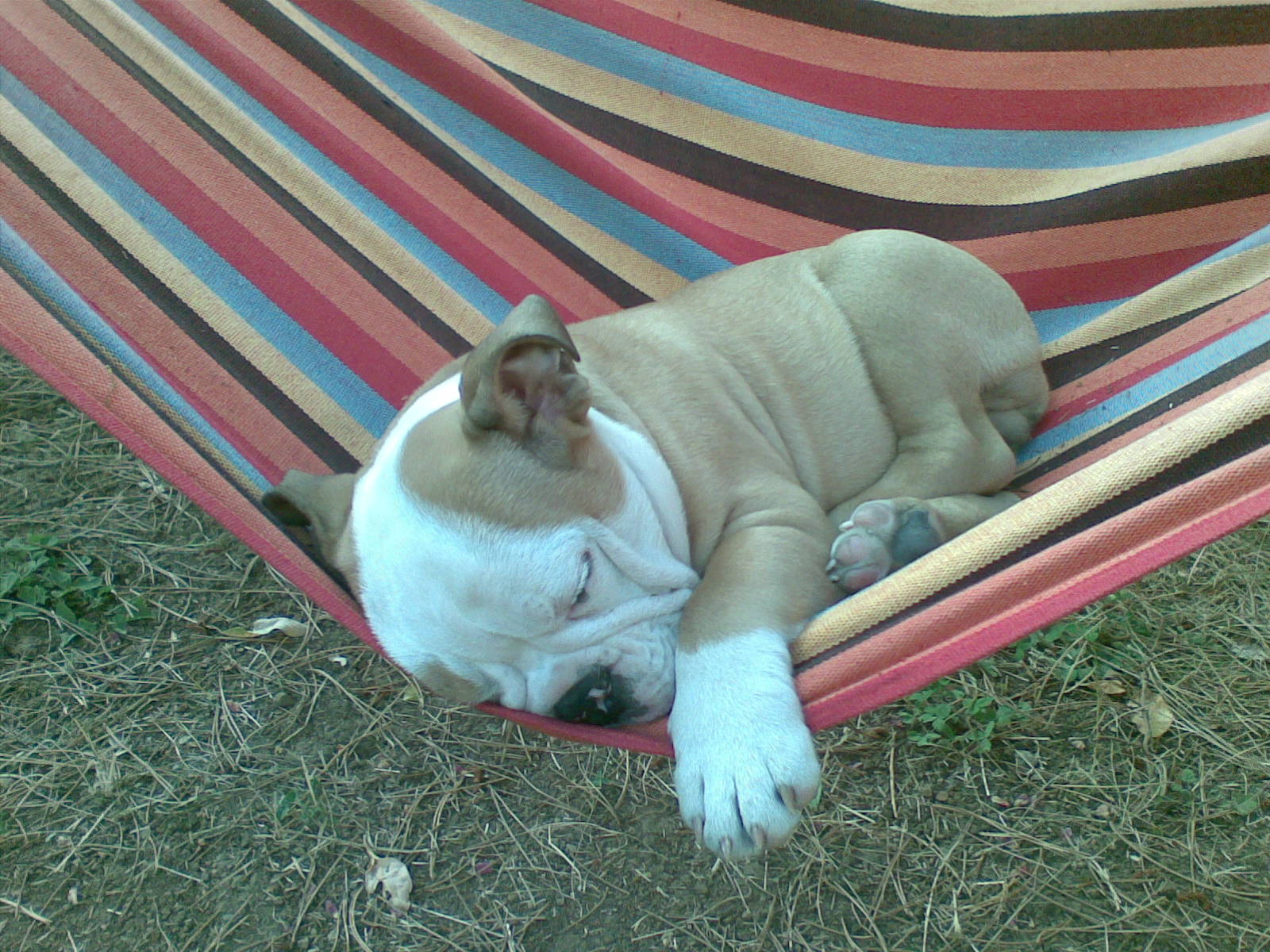 22082010_002_.jpg