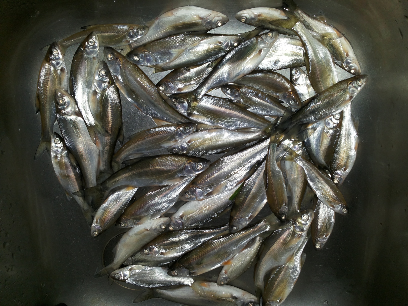 20131012_190215.jpg