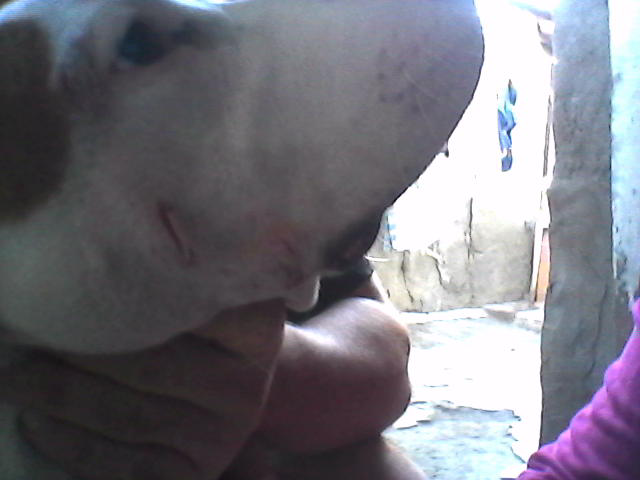 Image153.PNG