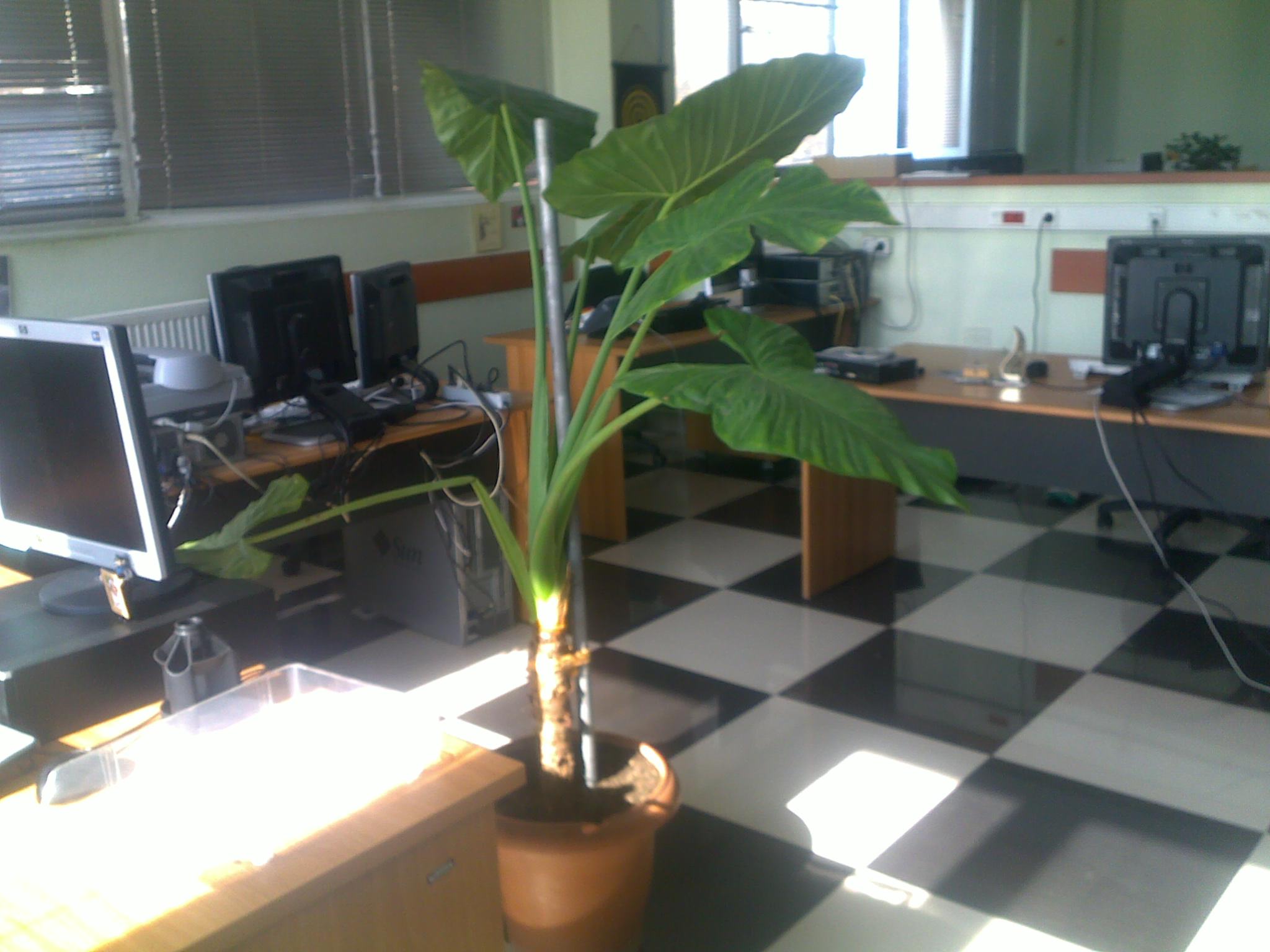 27102013243.jpg