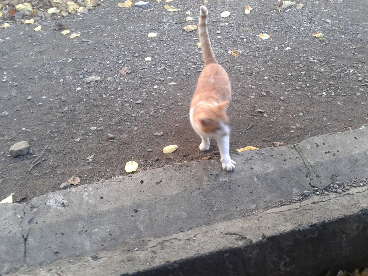 20131116_110924_.jpg
