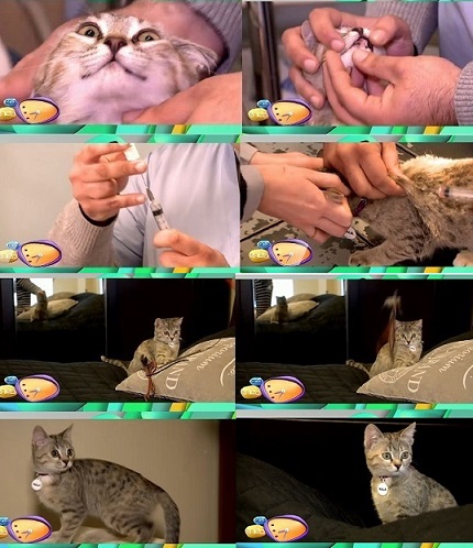 gdstv27_11_2013_08_34_08.jpg