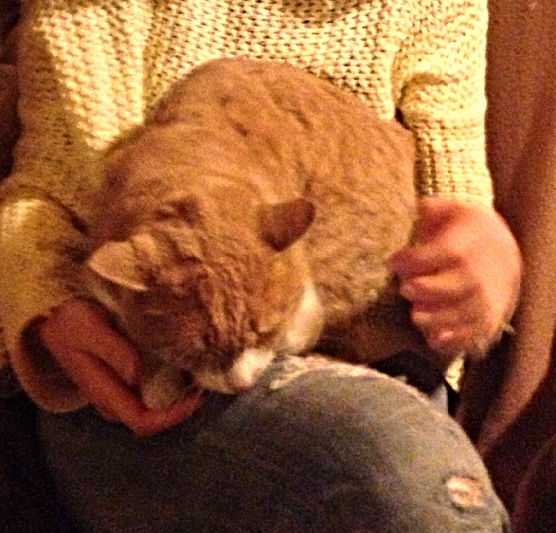 image.jpg