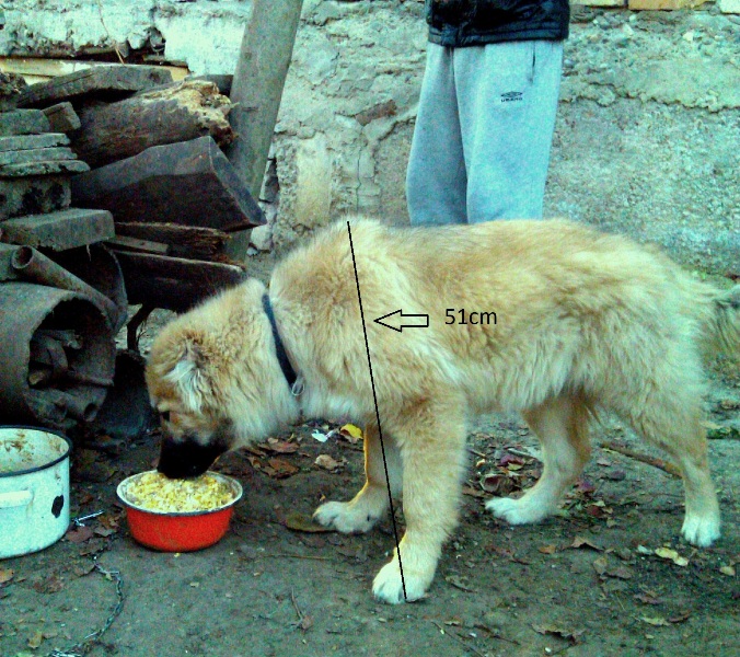 IMAG0015.jpg