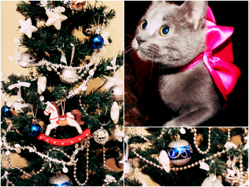 fanny_new_year2.jpg