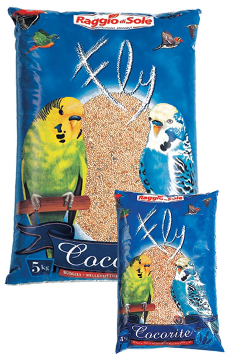 BUdgie_fruit.JPG