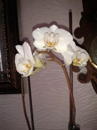 2014_01_14_13.05.34.jpg