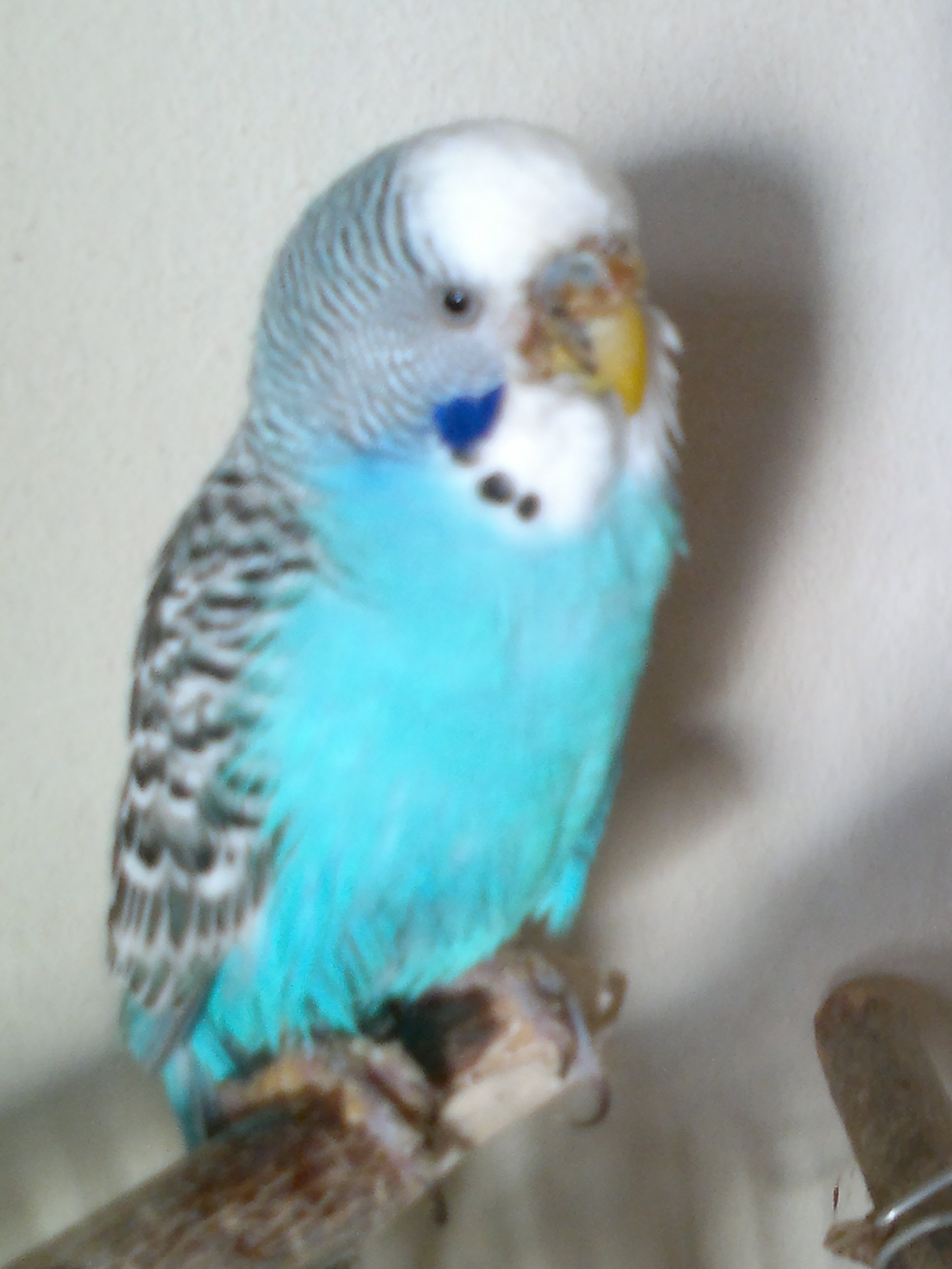 2014_01_17_1246.jpg
