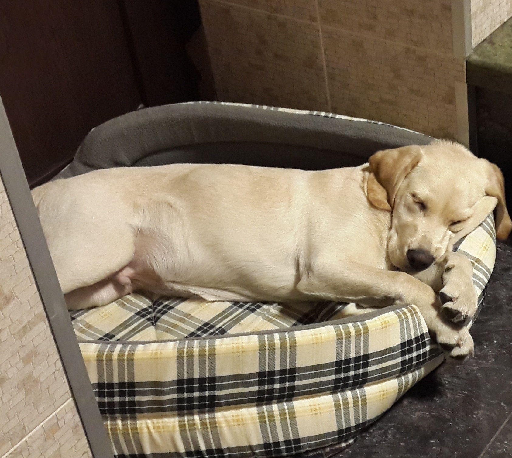 201401das12_234722.jpg