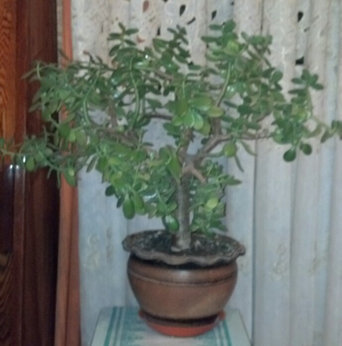 IMG_20140409_212146.jpg