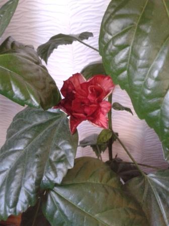 2014_04_11_09.48.58.jpg