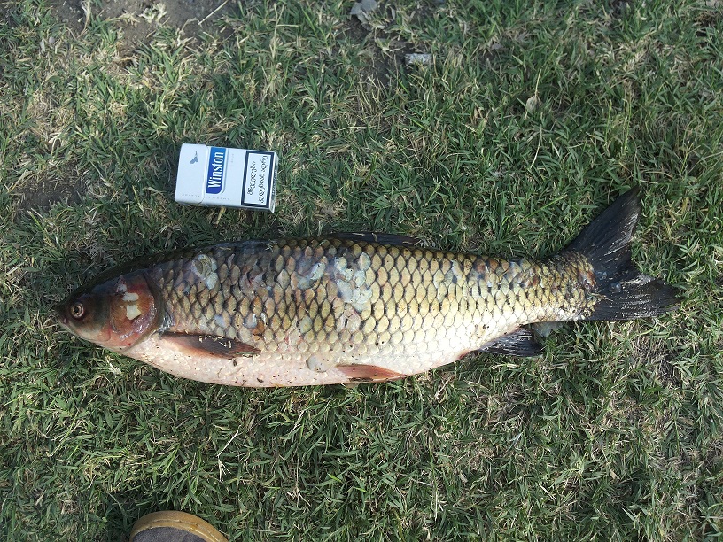 20140719_091556.jpg