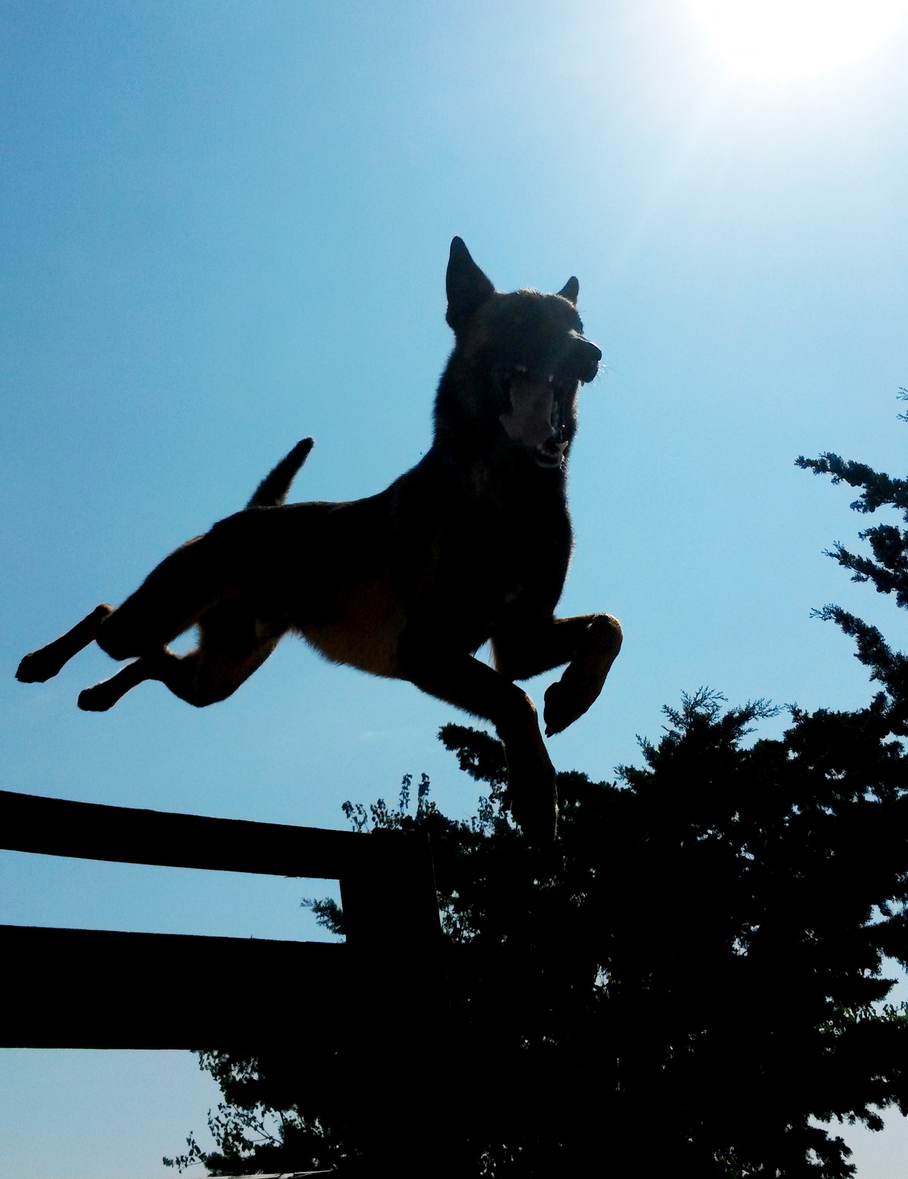 20140910_113643_2_bestshot1.jpg