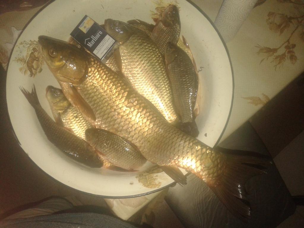 20140927_195718.jpg