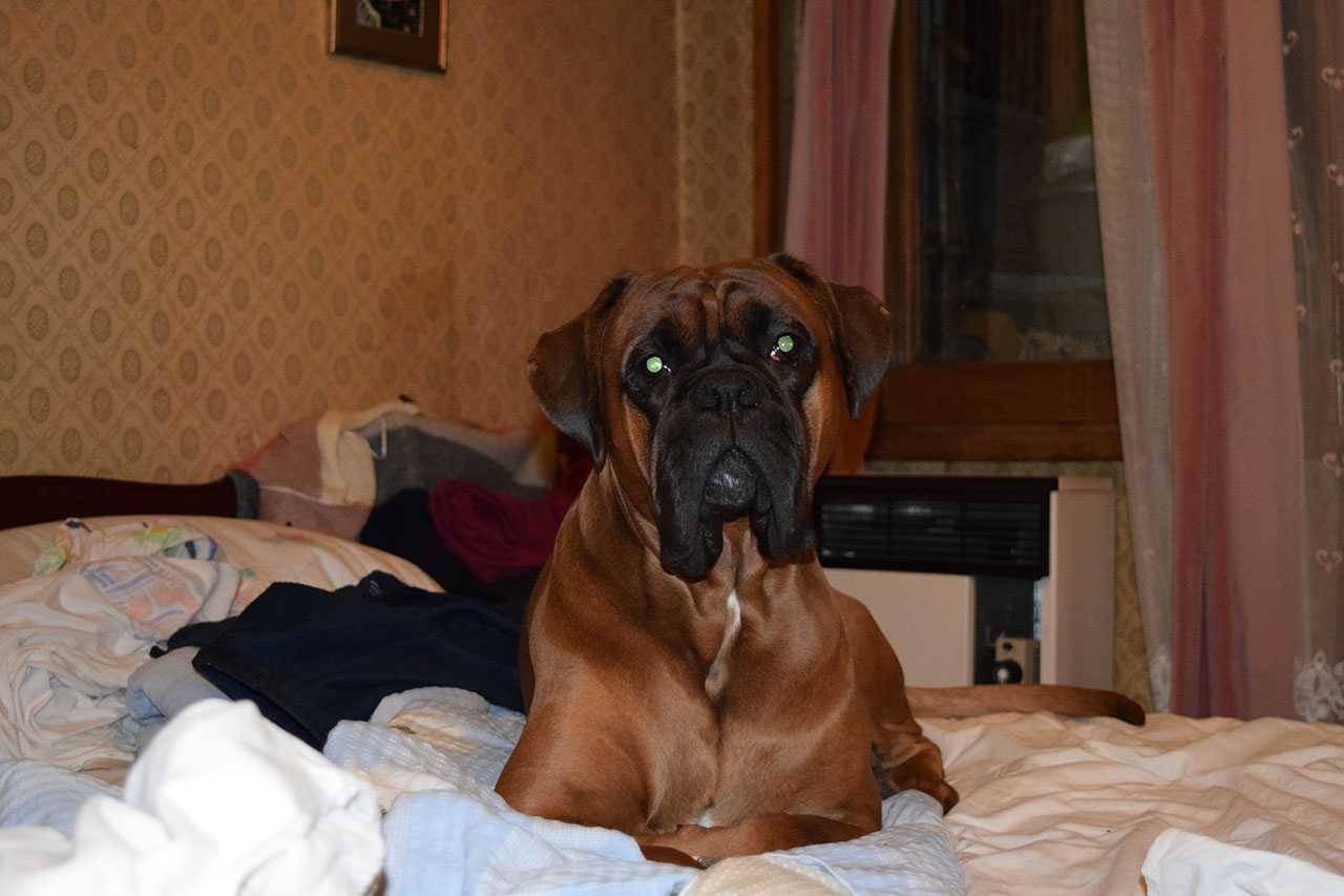 DSC_0212.jpg