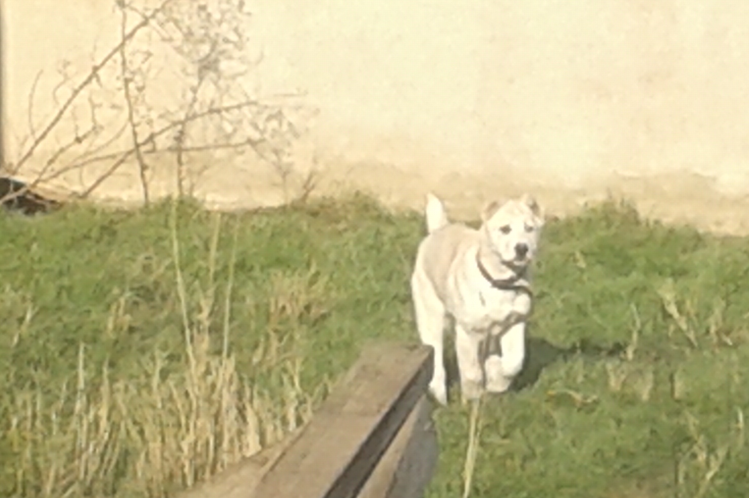 20150118_102322.jpg