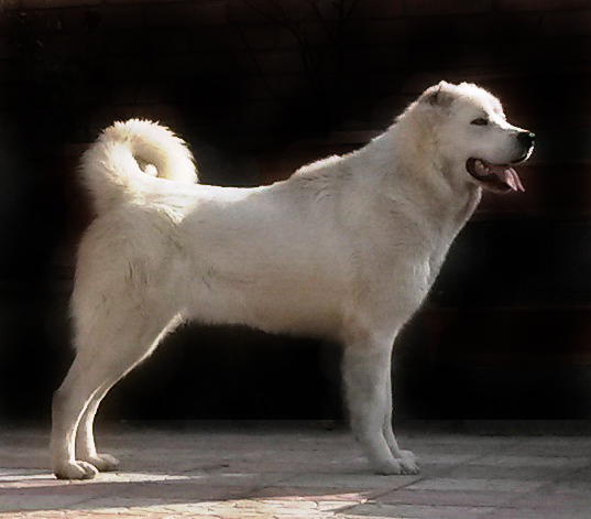 20150131_152402a.jpg