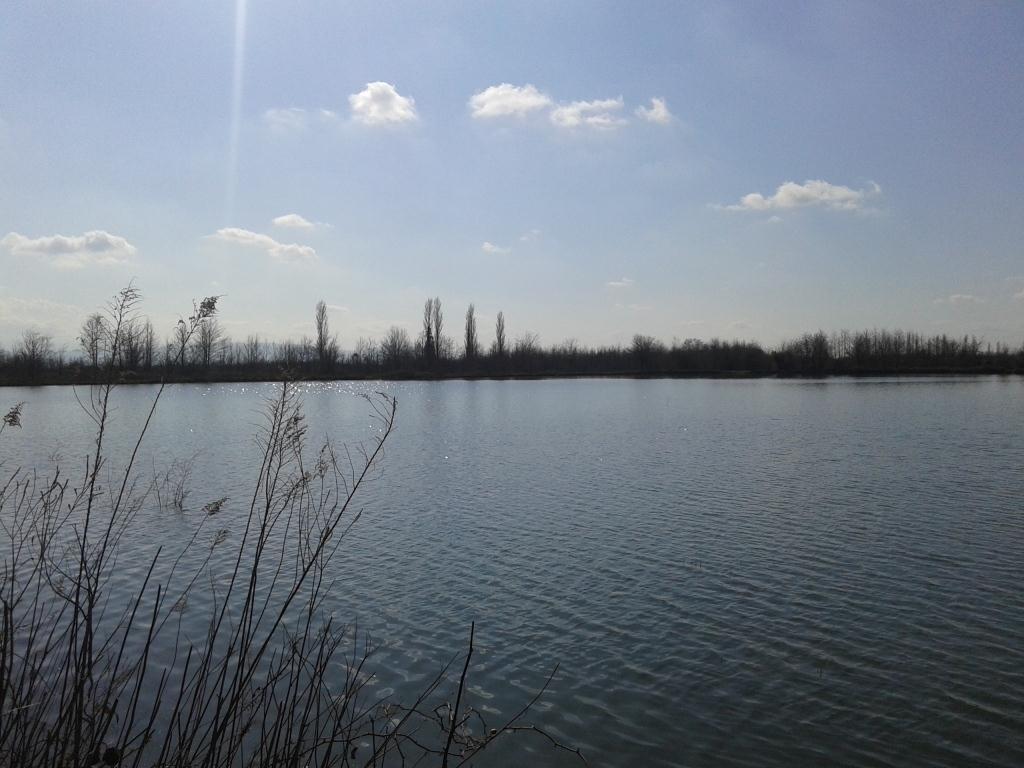 20150303_150023.jpg