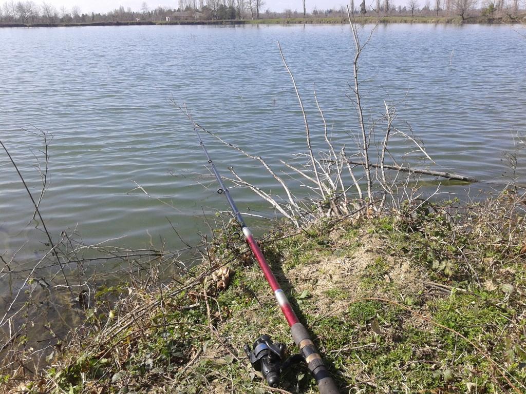 20150303_145939.jpg