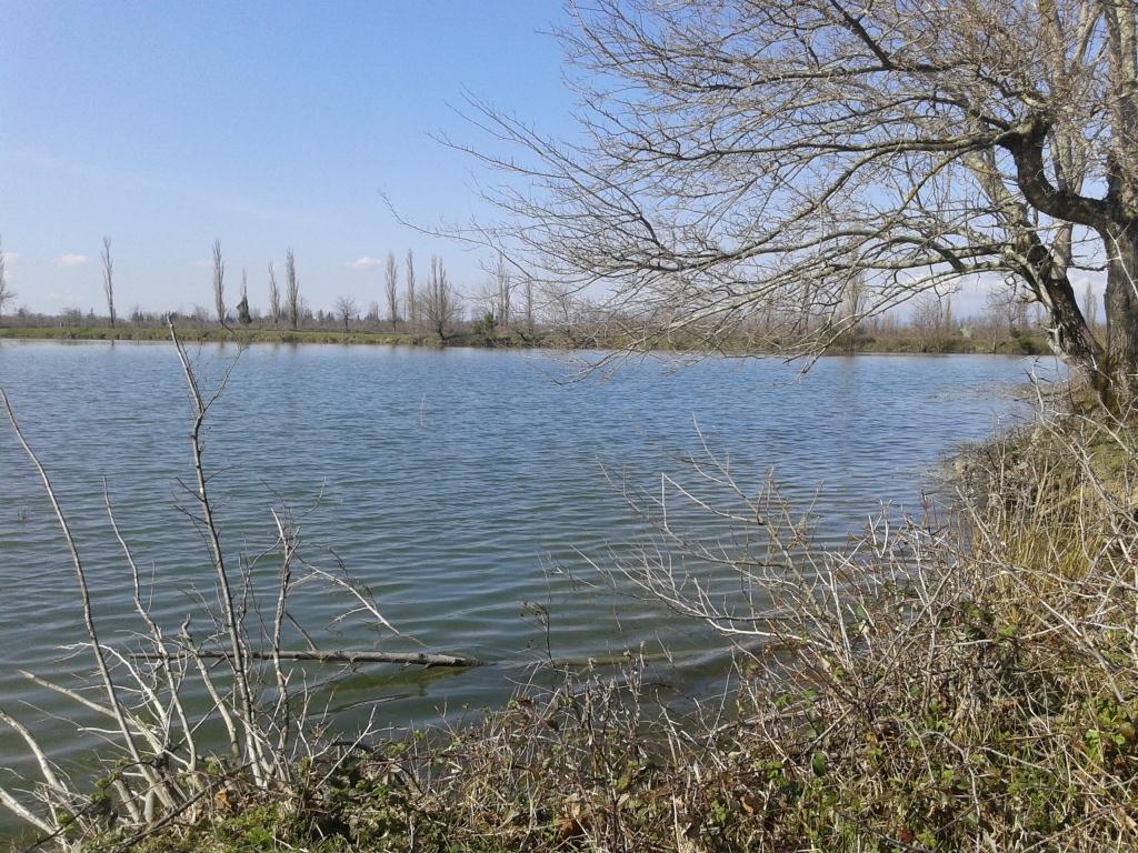 20150303_145925.jpg