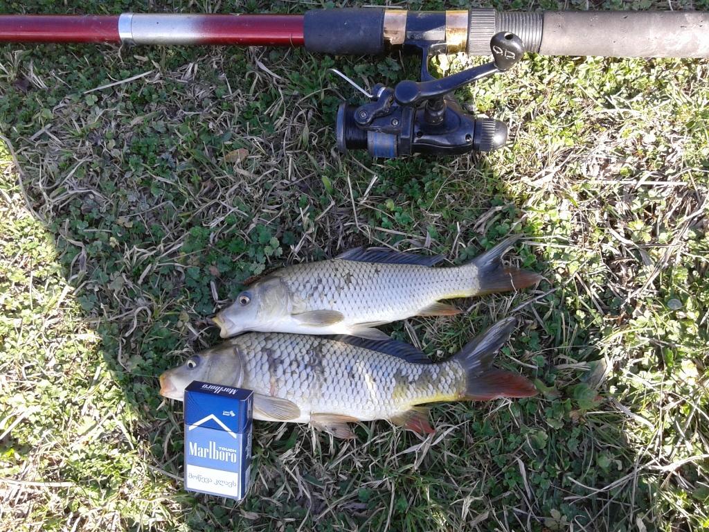 20150303_160237.jpg