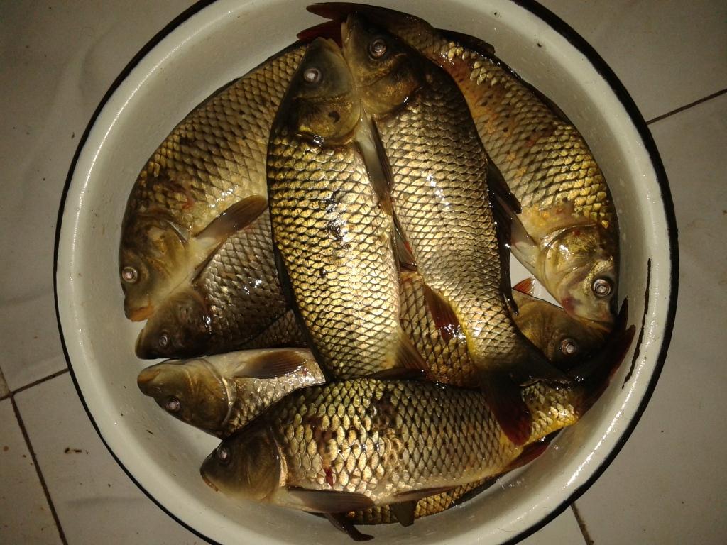 20150303_190123.jpg