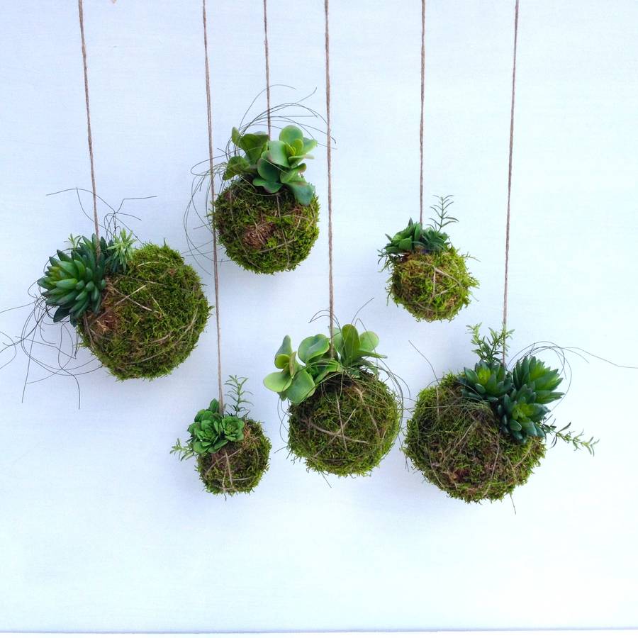 original_artificial_kokedama.jpg