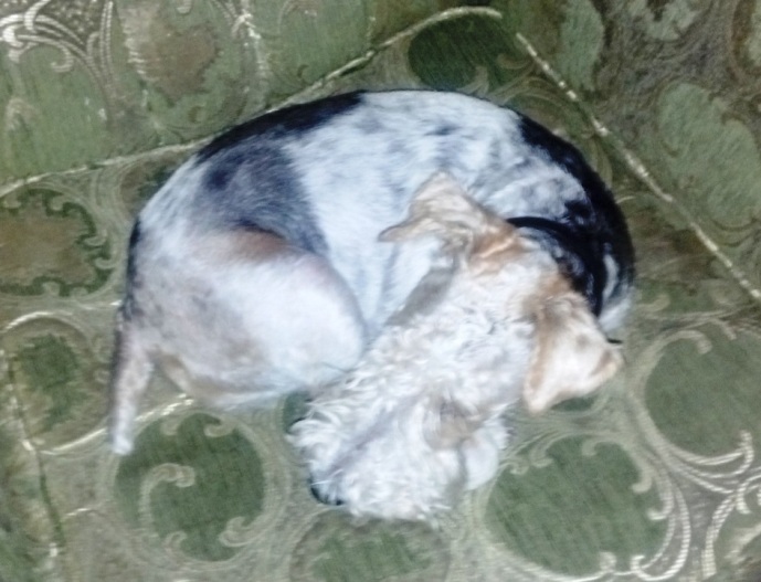 2012_07_20_12_11_31_452.jpg